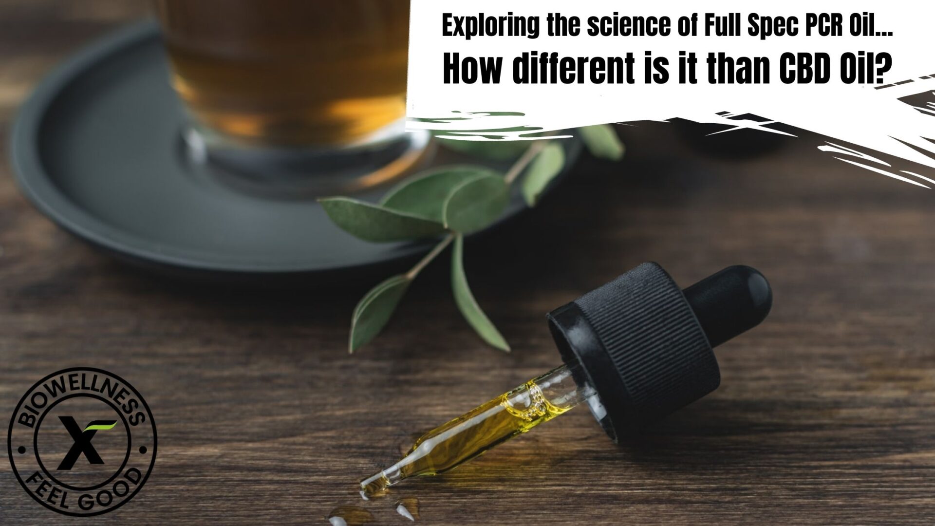 pcr hemp oil - the ultimate guide