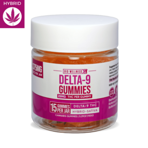 Delta 9 THC Gummies from BioWellnessX