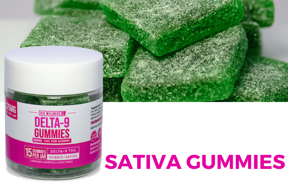 Organic Delta 9 Gummies - The Big Brother of THC Gummies