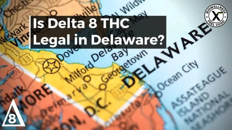 Is Delta 8-THC Legal In Delaware - BiowellnessX