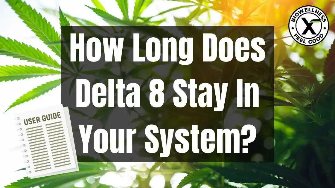 Delta 8 Drug Test: Should You Be Worried About Delta 8 & Drug Testing?