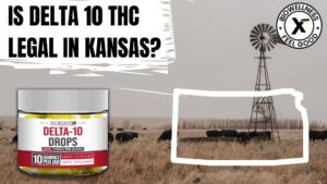 Is Delta 10 THC legal in Kansas