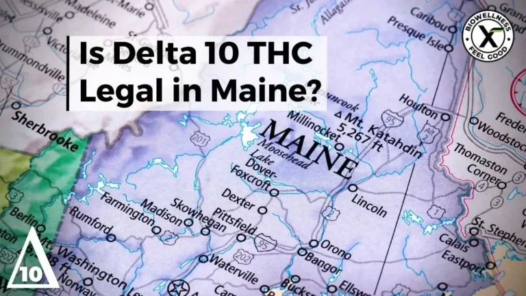 Is Delta 10 legal in Maine - BiowellnessX