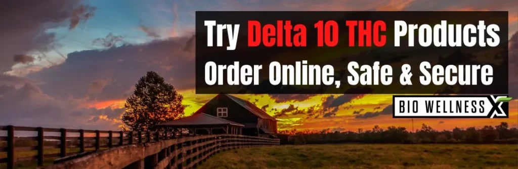 Try Delta 10 THC products locally in Kentucky