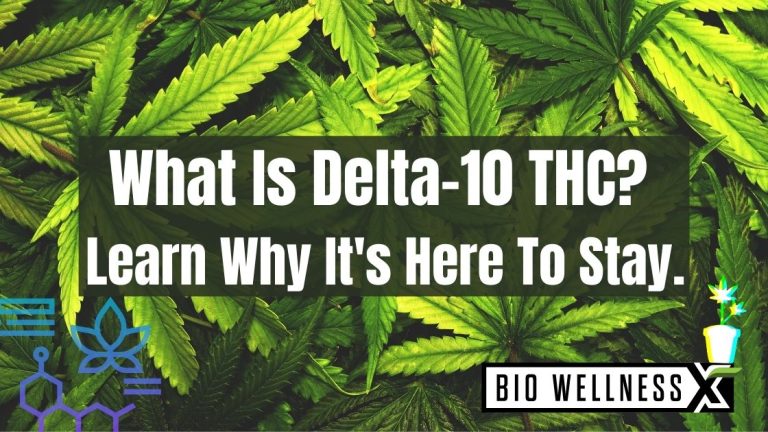 What is Delta 10 THC - Learn why its here to stay - BioWellnessX