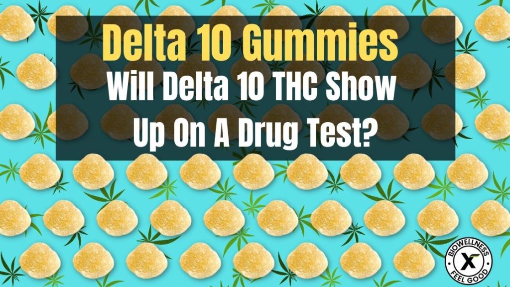 Best Delta 10 Gummies: What You Should Know Before Trying Delta 10!