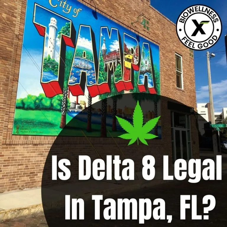 Is Delta 8 legal in tampa florida