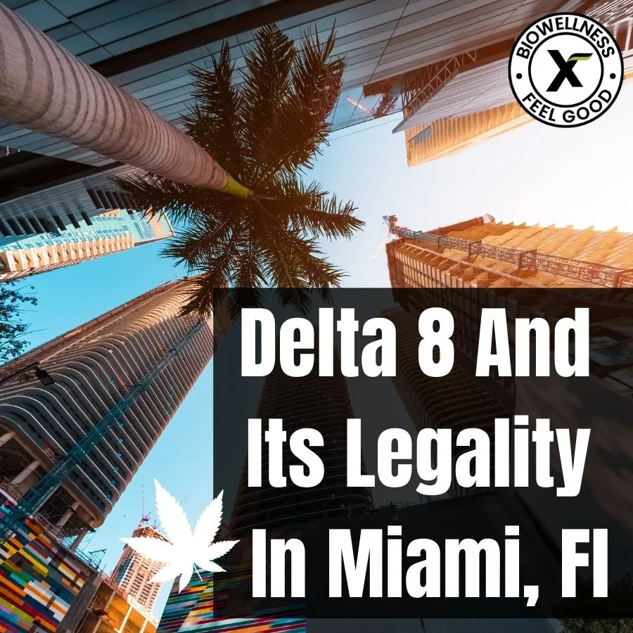 Delta 8 and its legality in Miami FL