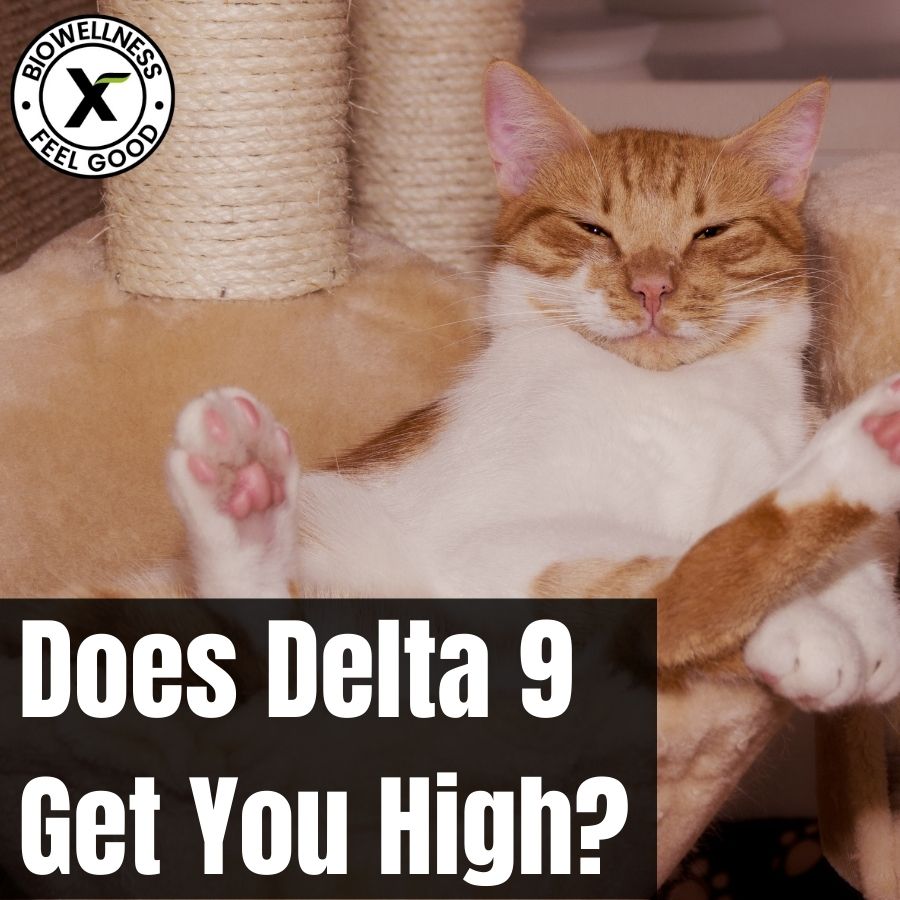 Does Delta 9 Get You High