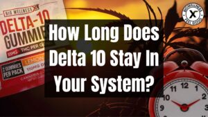 How long does Delta 10 stay in your system