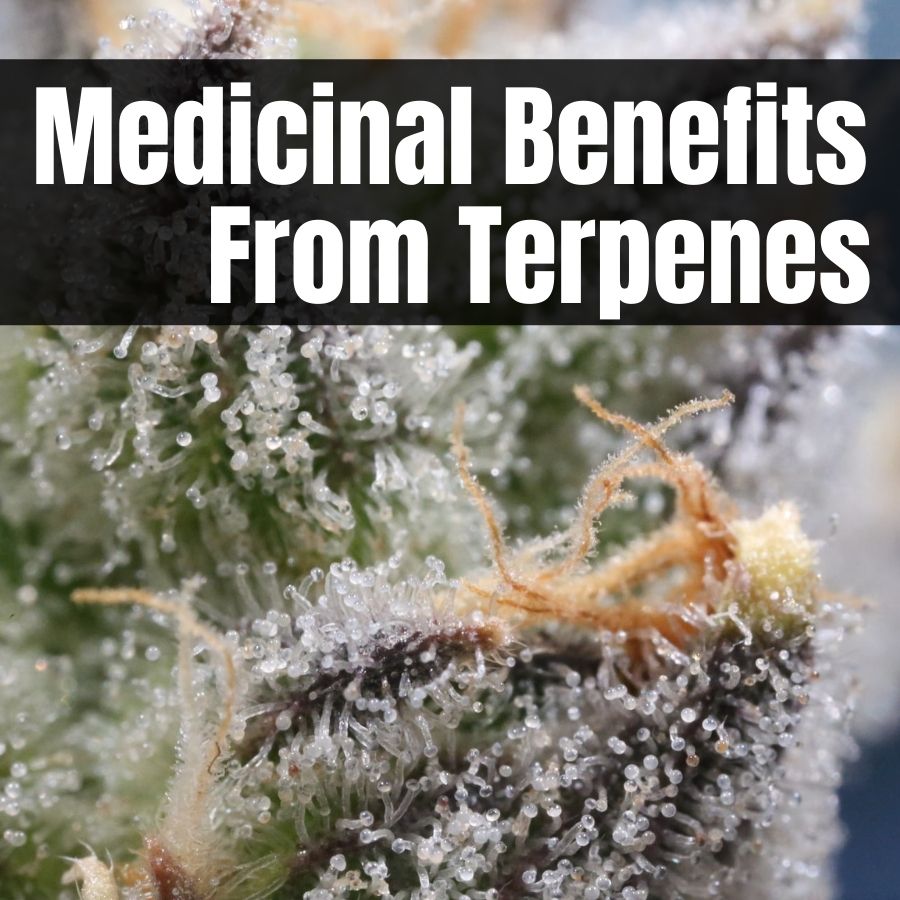 Terpenes And Medicinal Benefits