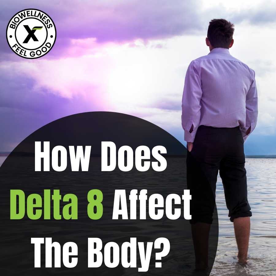 How does delta 8 affect the body