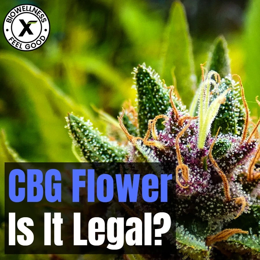 Is CBG flower legal