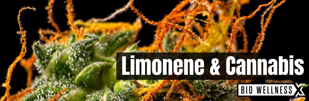 Limonene and cannabis biowellnessx