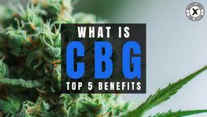 What is CBG