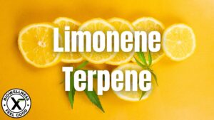 What is Limonene