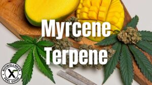 What is Myrcene
