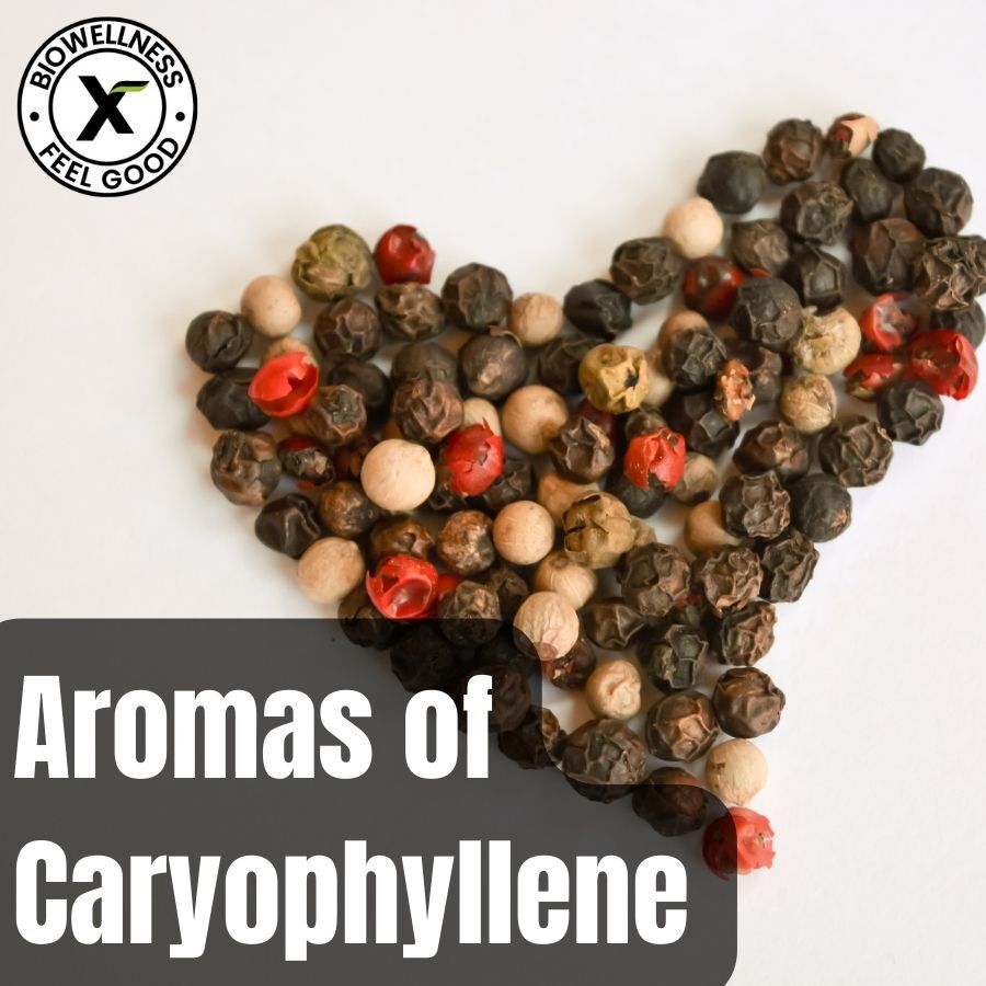 Aromas of Caryophyllene