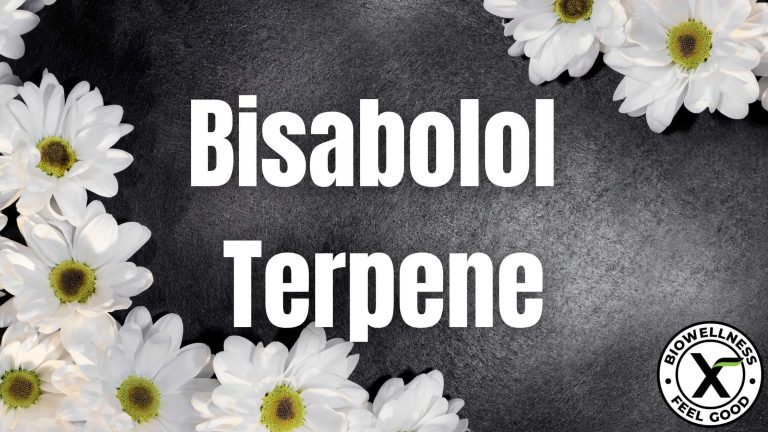 What Is Bisabolol Terpene