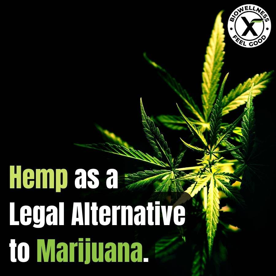 Hemp as a Legal alternative