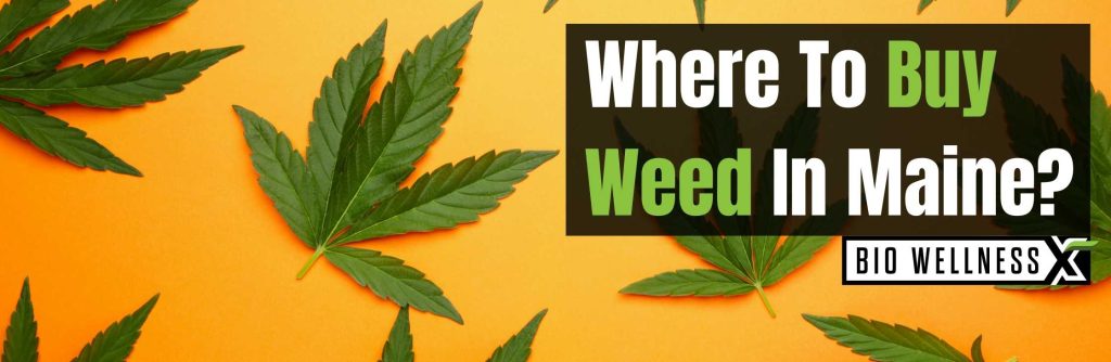 Where to buy weed In Maine