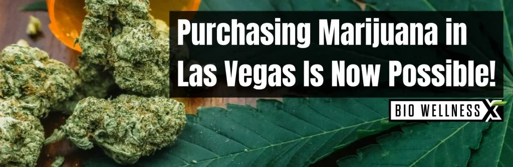 Buy marijuana legally in Nevada