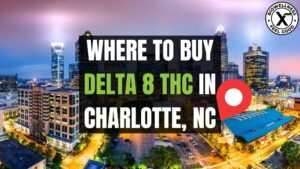 Where to Buy Delta 8 THC In Charlotte North Carolina