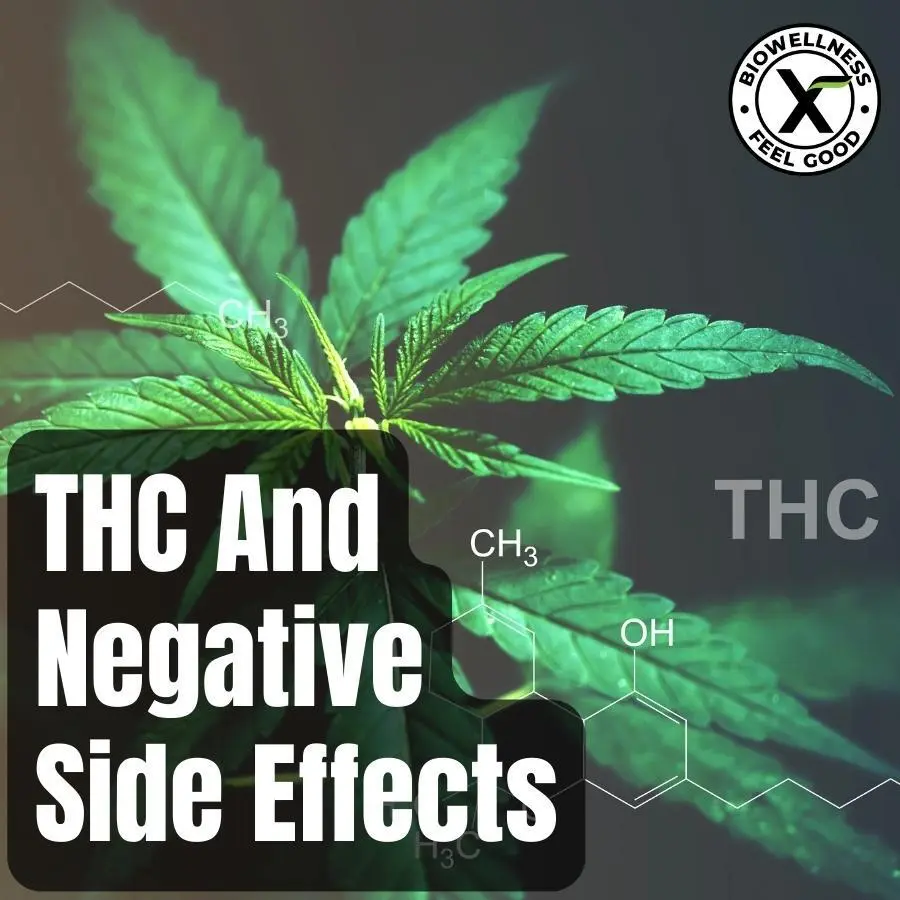 THC and negative side effects for dogs