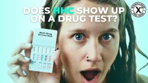 Does HHC Show up On A Drug Test - BiowellnessX