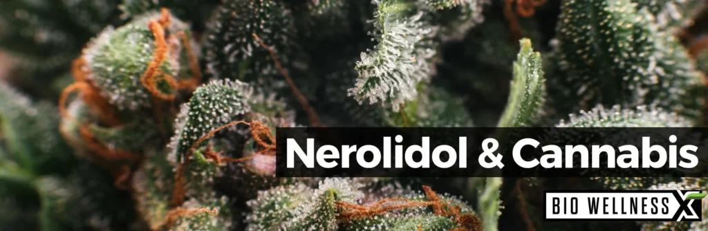 Nerolidol In Cannabis