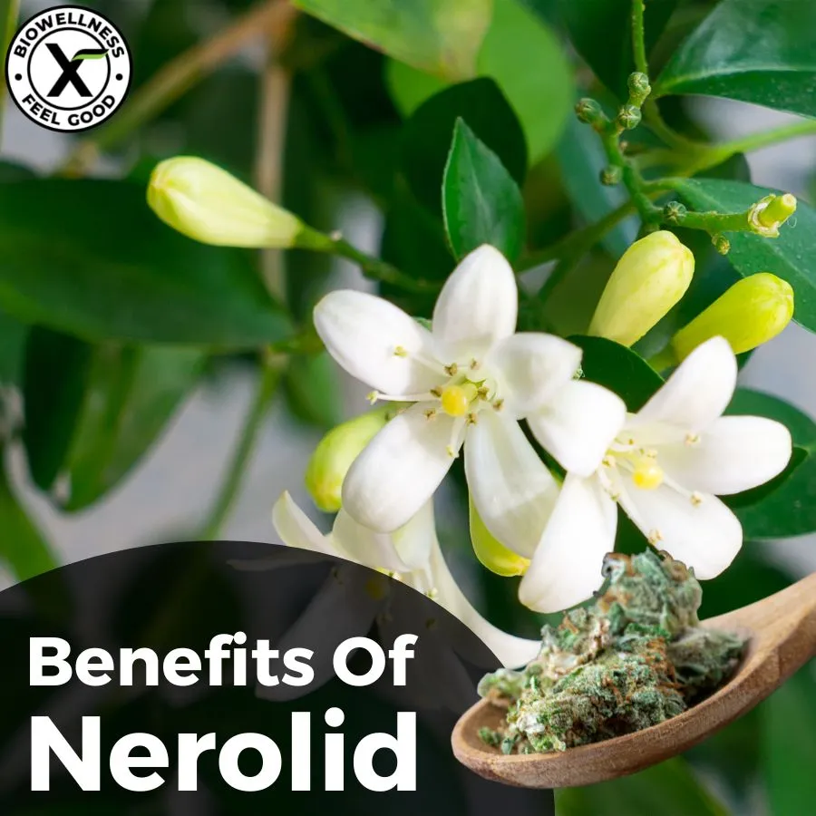 Therapeutic Benefits of Nerolidol