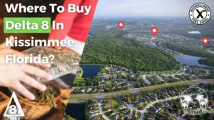 Where To Buy Delta 8 in Kissimmee Florida - BiowellnessX