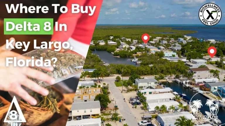 Where to buy Delta 8 in Key Largo Florida - BiowellnessX