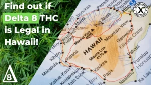 Is Delta 8 THC legal in Hawaii BioWellnessX