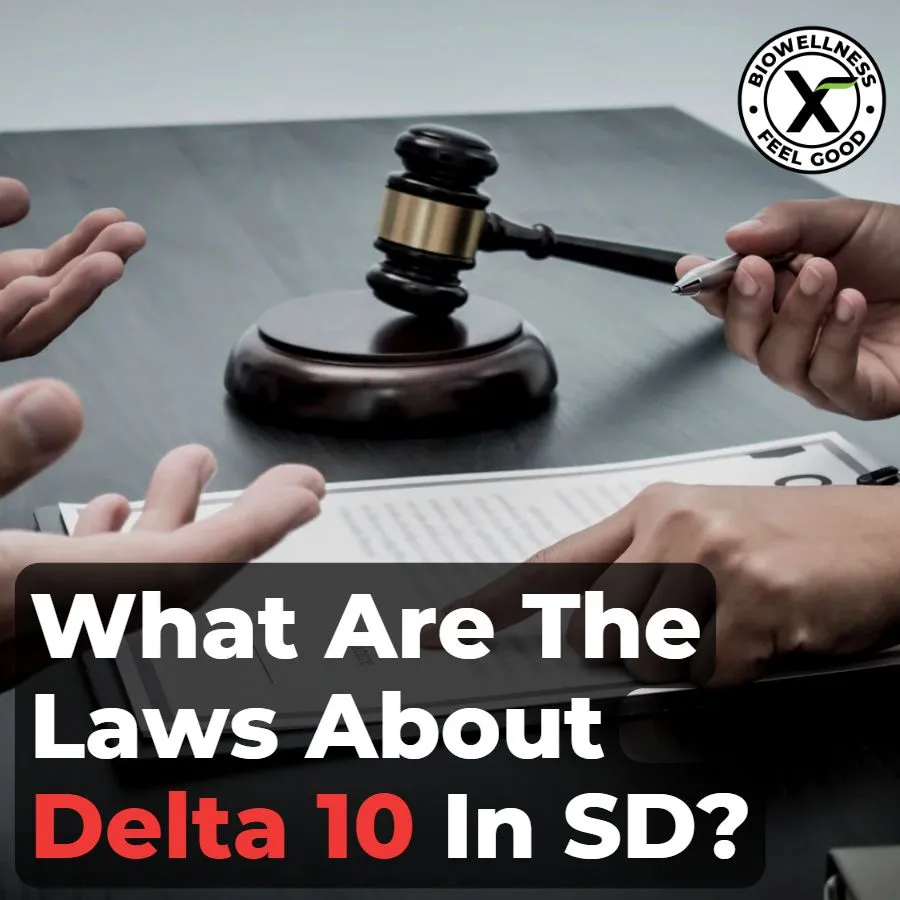 What are the hemp laws in South Dakota - BiowellnessX