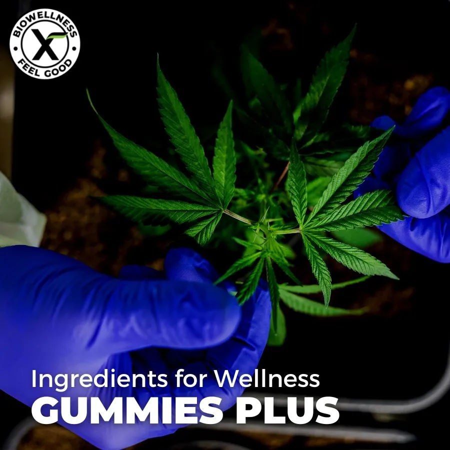 Ingredients for Gummies Plus - BiowellnessX