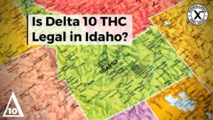 Is delta 10 legal in idaho - BiowellnessX