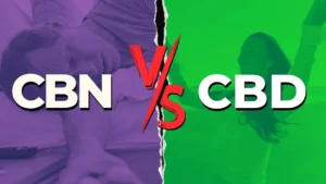 CBD vs. CBN How Are They Different and Why Does It Matter