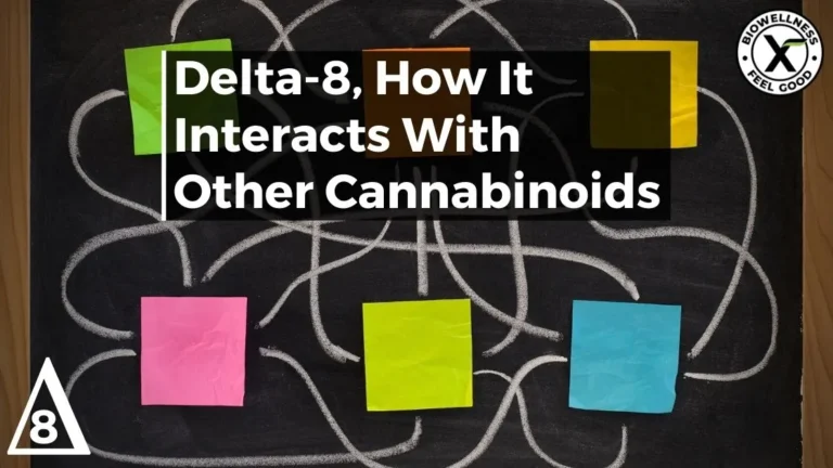 How Does Delta-8 THC Interact with Other Cannabinoids - BiowellnessX