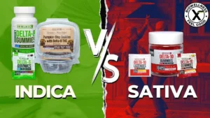 Indica vs Sativa Edibles - BiowellnessX