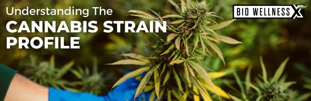 Understanding The Cannabis Strain Profile - BiowellnessX