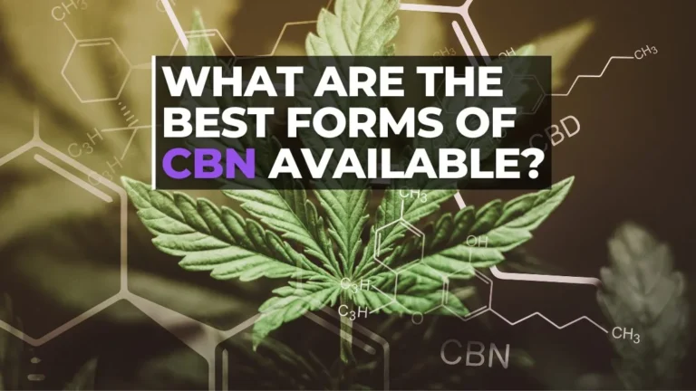 What Are the Best Forms Of CBN Available Today