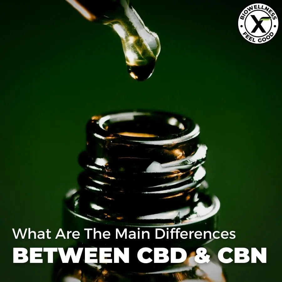 What Are the Main Differences Between CBN Extracts And CBD Extracts