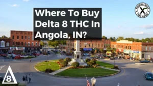 Where to Buy Delta-8 THC In Angola Indiana