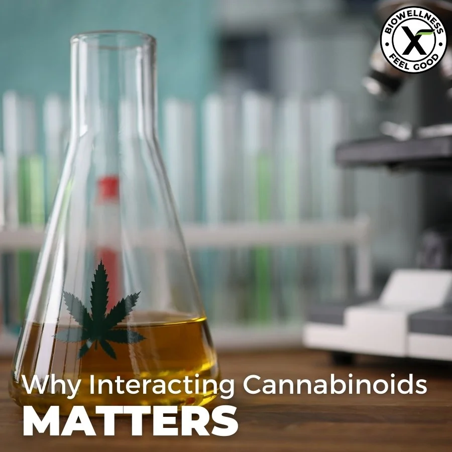 Why Cannabinoids Interacting Together Matters - BiowellnessX