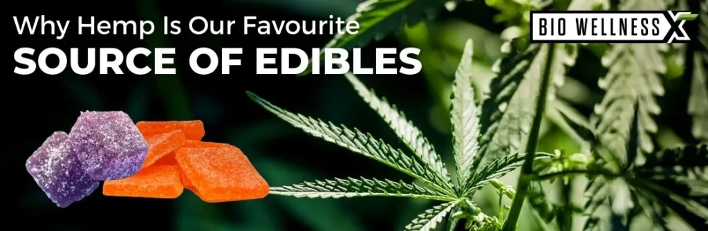 Why Hemp Is Our Favorite Source Of Edibles - BiowellnessX