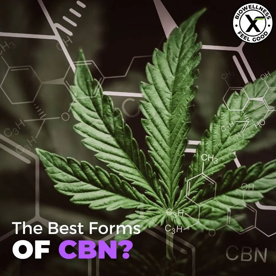 he best forms of CBN