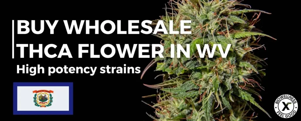 Buy High Quality THCa Flower Wholesale