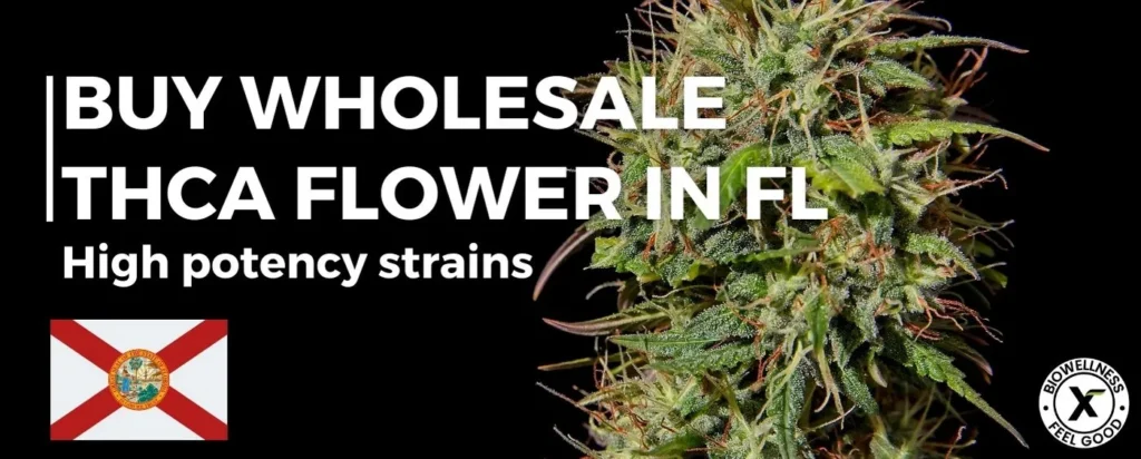 Buy Wholesale THCA Flower Florida