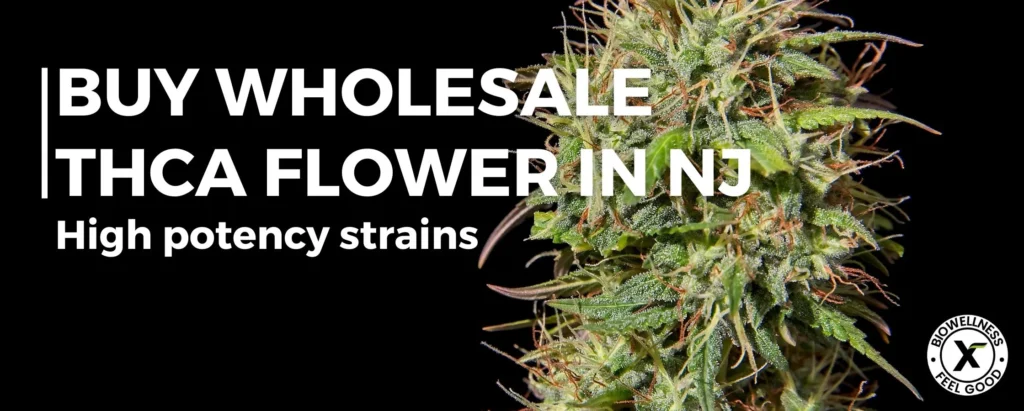 Buy Wholesale THCA Flower New Jersey